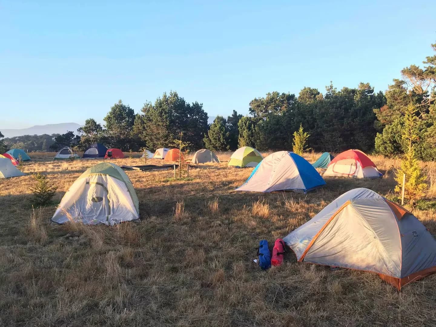 Tents in a grassy field