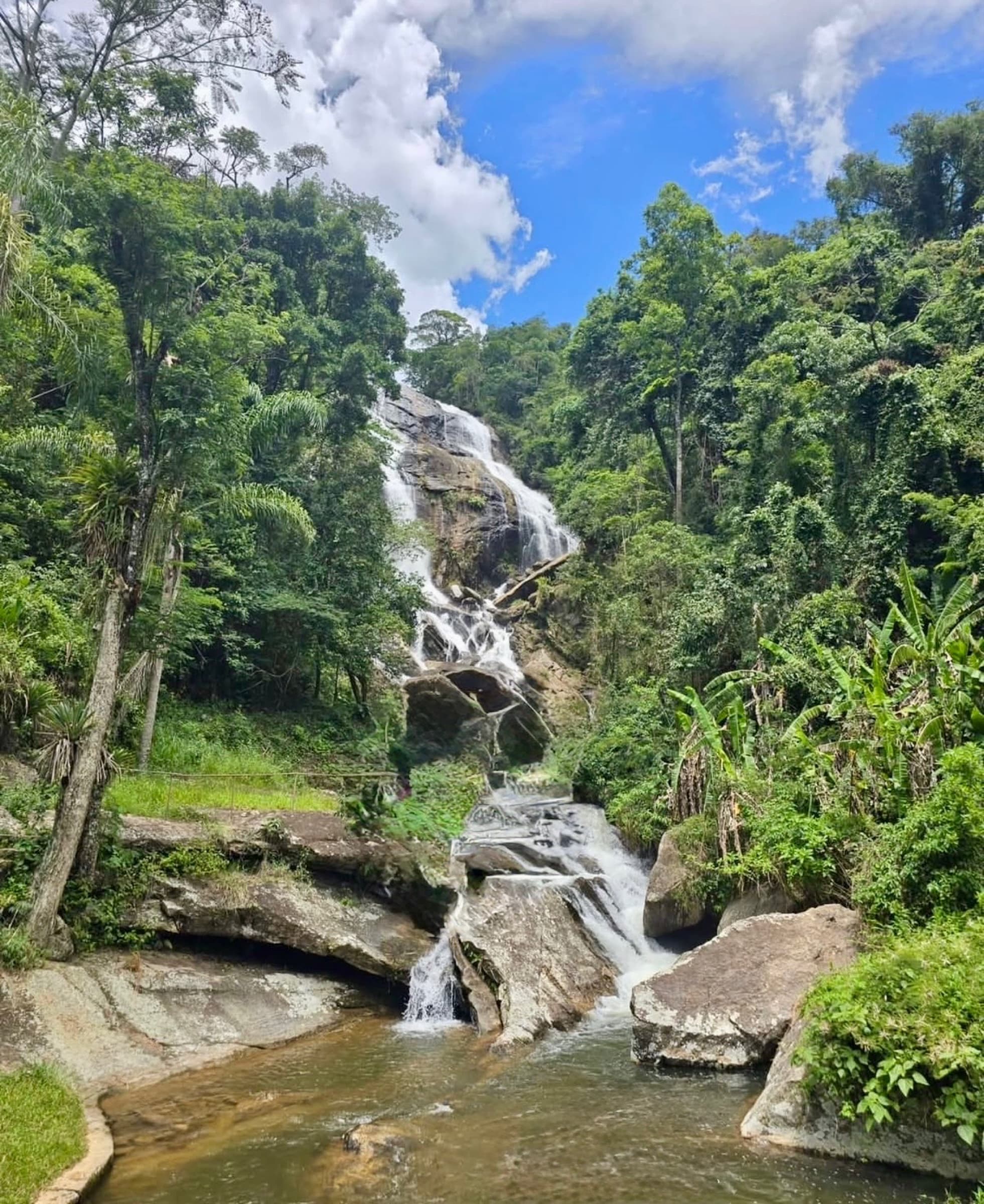 A tall waterfall tumbling through the forest.