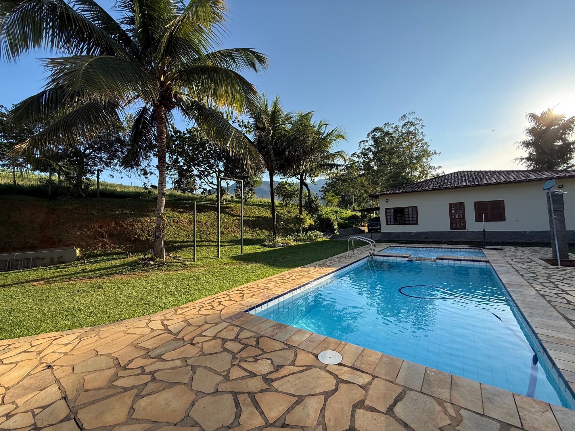 A swimming pool ringed by palms in golden light.