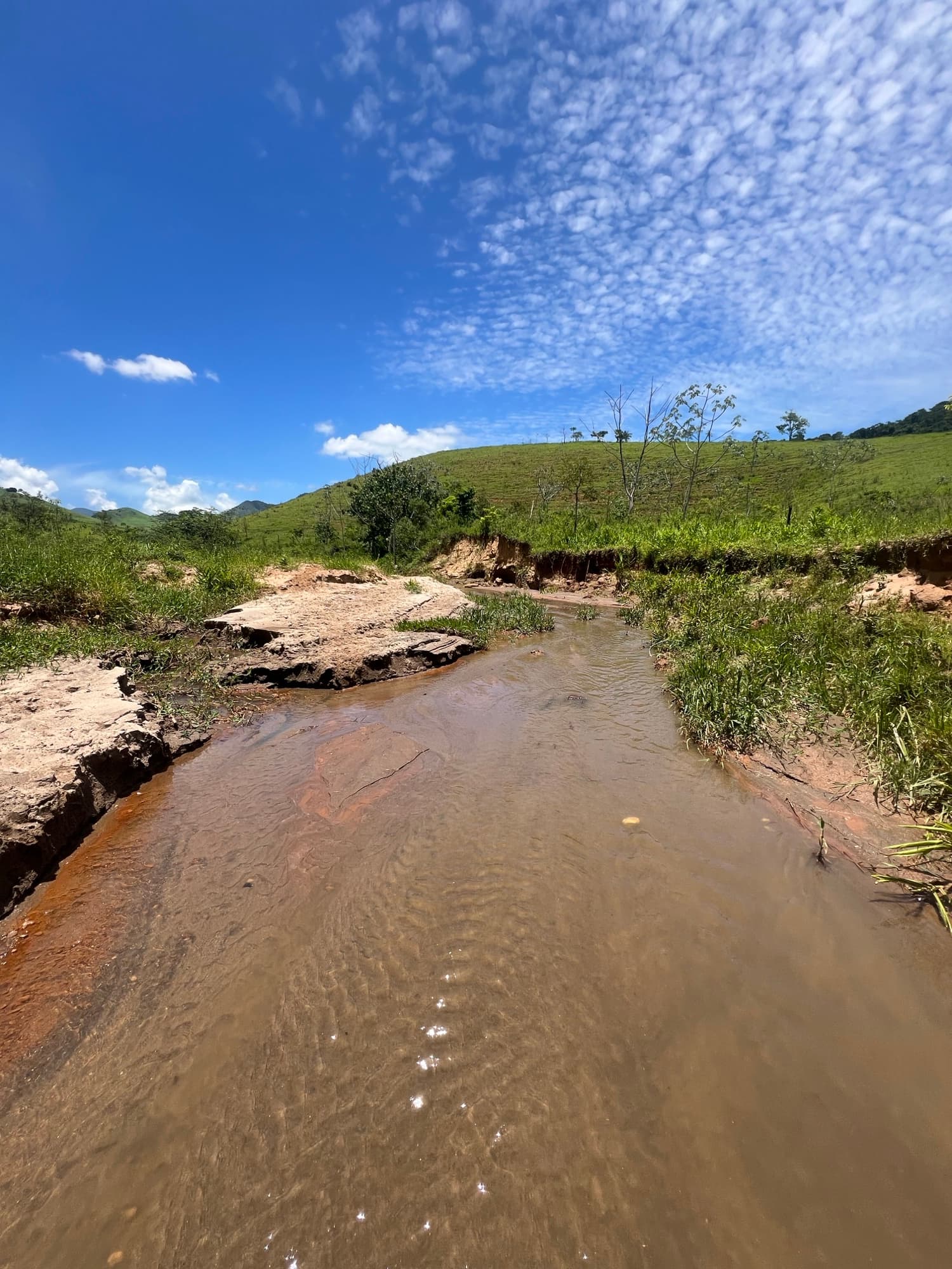 The creek winding through the open farmland.
