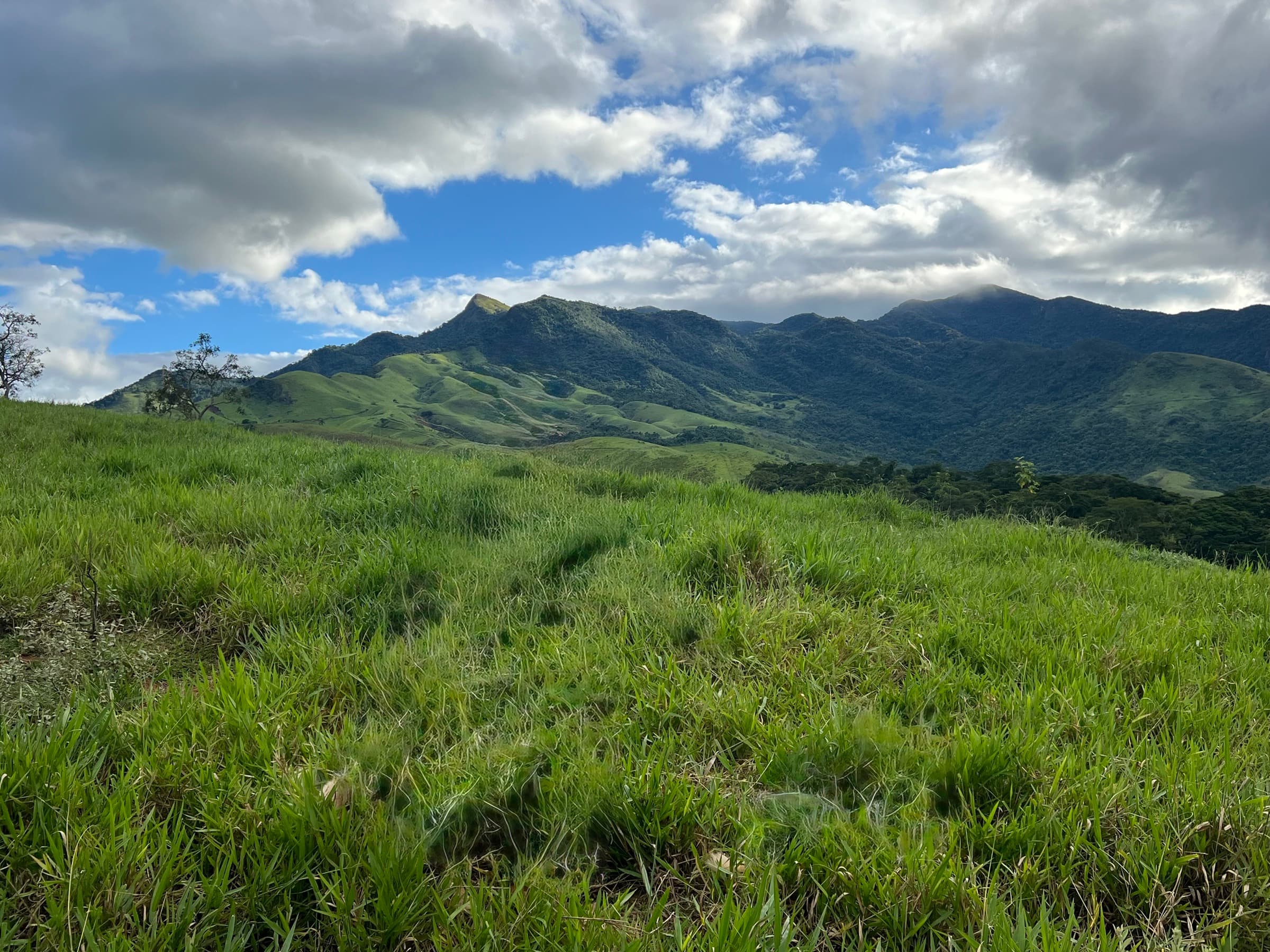 A wide green meadow rolling up to the Serra da Bocaina mountains under a big sky.